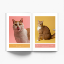 Albumul pisoiului fotocarte, 20x30 cm