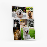 Tablou, Colaj 7 poze, 40x60 cm