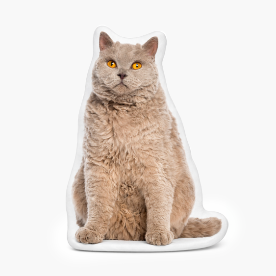 Pernă 3D personalizată, catifea, Forma ta, 30x30 cm