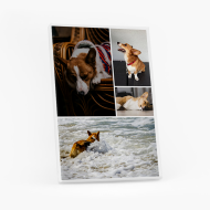 Tablou, Catelul meu, 40x60 cm