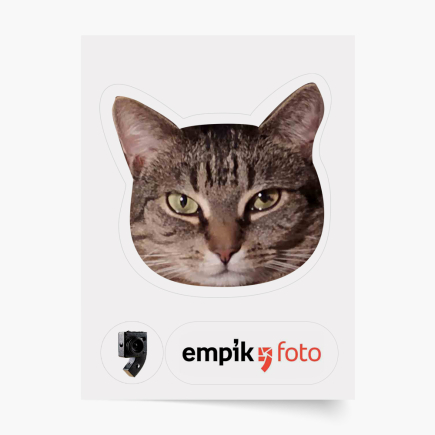 fotografie