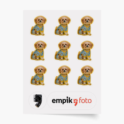 fotografie