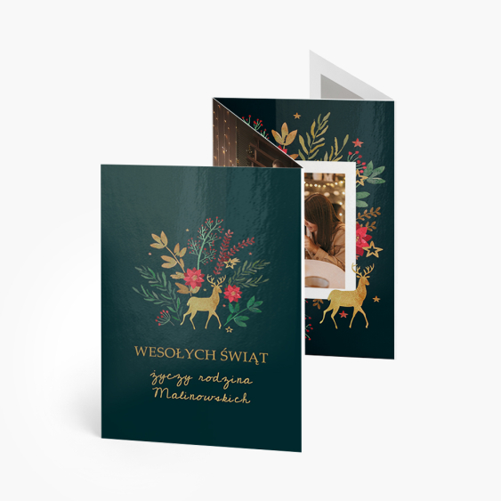 Leporello, Colecția Magia Crăciunului