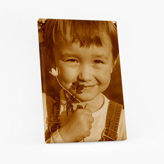 Tablou, Fotografia ta în stil Sepia, 20x30 cm