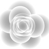 clipart foto carte